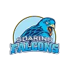 ADU猎鹰女篮
